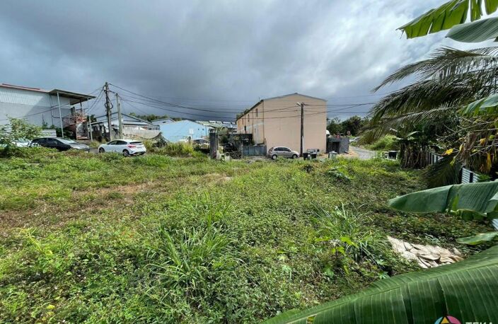 TEKA IMMO VOUS PROPOSE A VENDRE DES PARCELLES DE 300M²  SUR ST BENOIT, A MOINS DE 5 MINUTES DU GHER, ILE DE LA REUNION — photo 4