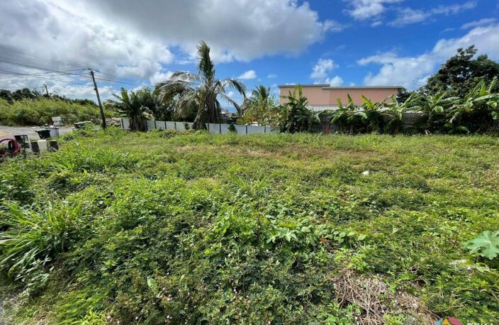 TEKA IMMO VOUS PROPOSE A VENDRE DES PARCELLES DE 300M²  SUR ST BENOIT, A MOINS DE 5 MINUTES DU GHER, ILE DE LA REUNION — photo 5