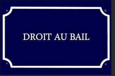 Commerce  264000 €