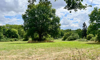 Terrain  16600 m² à vendre à Charbuy (89113)