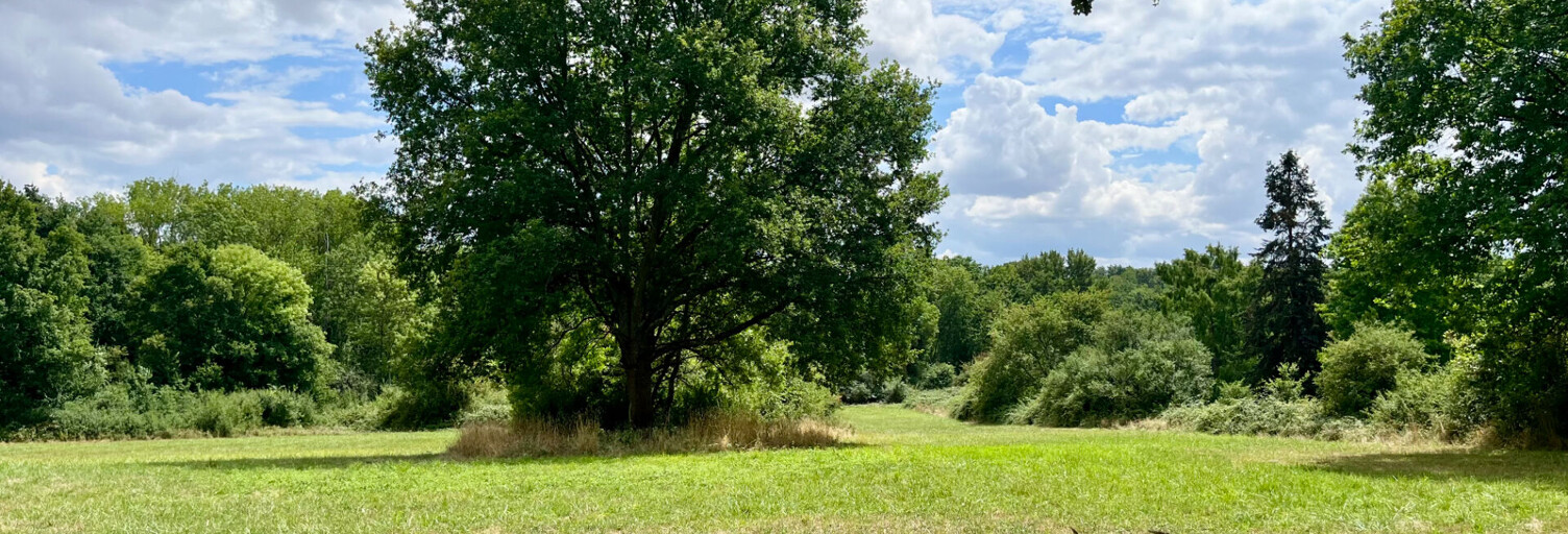 Terrain  16600 m² à vendre à Charbuy (89113)