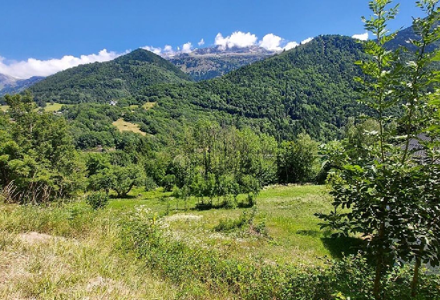 Terrain — photo 1