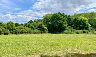 Terrain  12360 m² à vendre à Charbuy (89113)