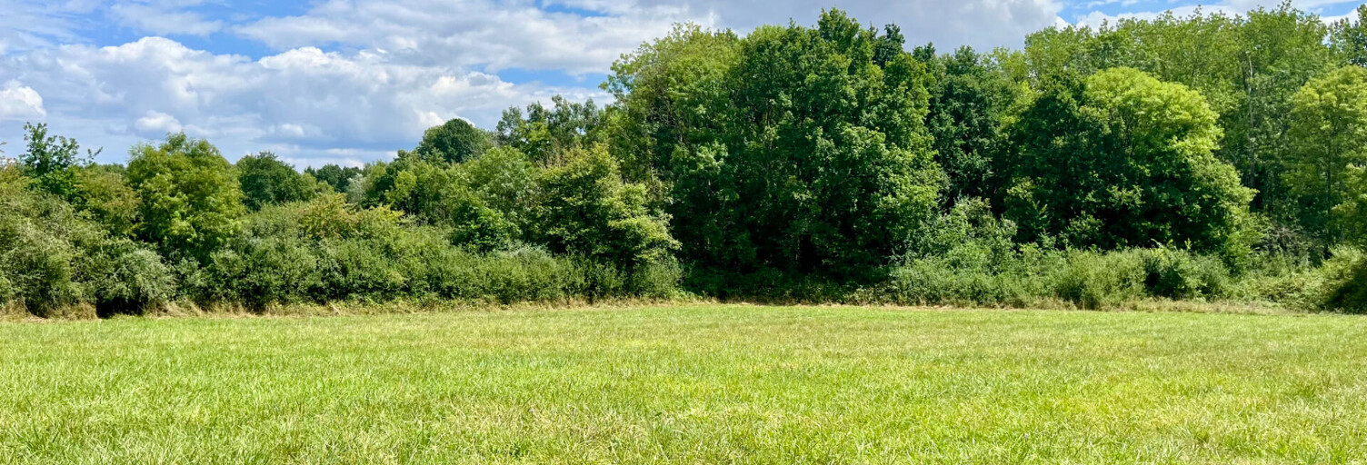 Terrain  8300 m² à vendre à Charbuy (89113)