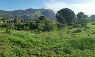 Terrain  1110 m² à vendre à Alata (20167)