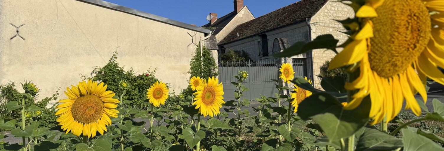 Maison 7 Pièces 157 m² à vendre à Cravant-les-Côteaux (37500)