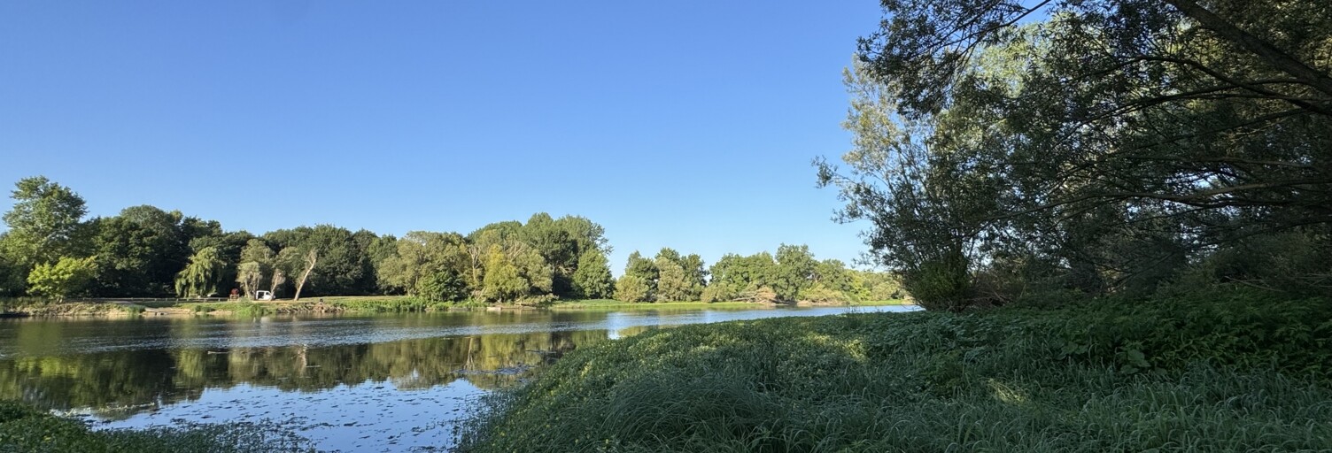 Maison 7 Pièces 157 m² à vendre à Cravant-les-Côteaux (37500)