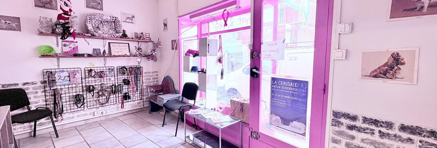 Commerce  48 m² à vendre à Marseille 7 (13007)