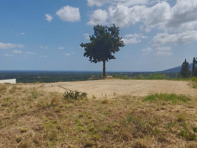 Magnifique terrain de 710 m2 avec vue Mer — photo du bien