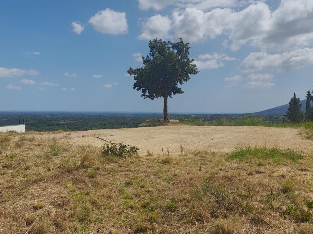 Terrain proposé à Villelongue-dels-Monts