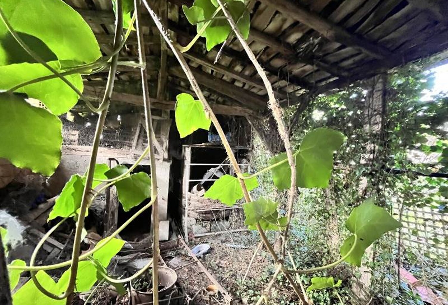 Grange de 4 pièces principales — photo 1