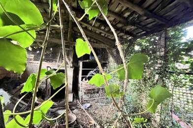 Maison 4 pièces 52000 €