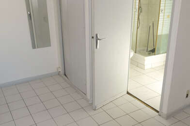 Appartement 1 pièces 482 €