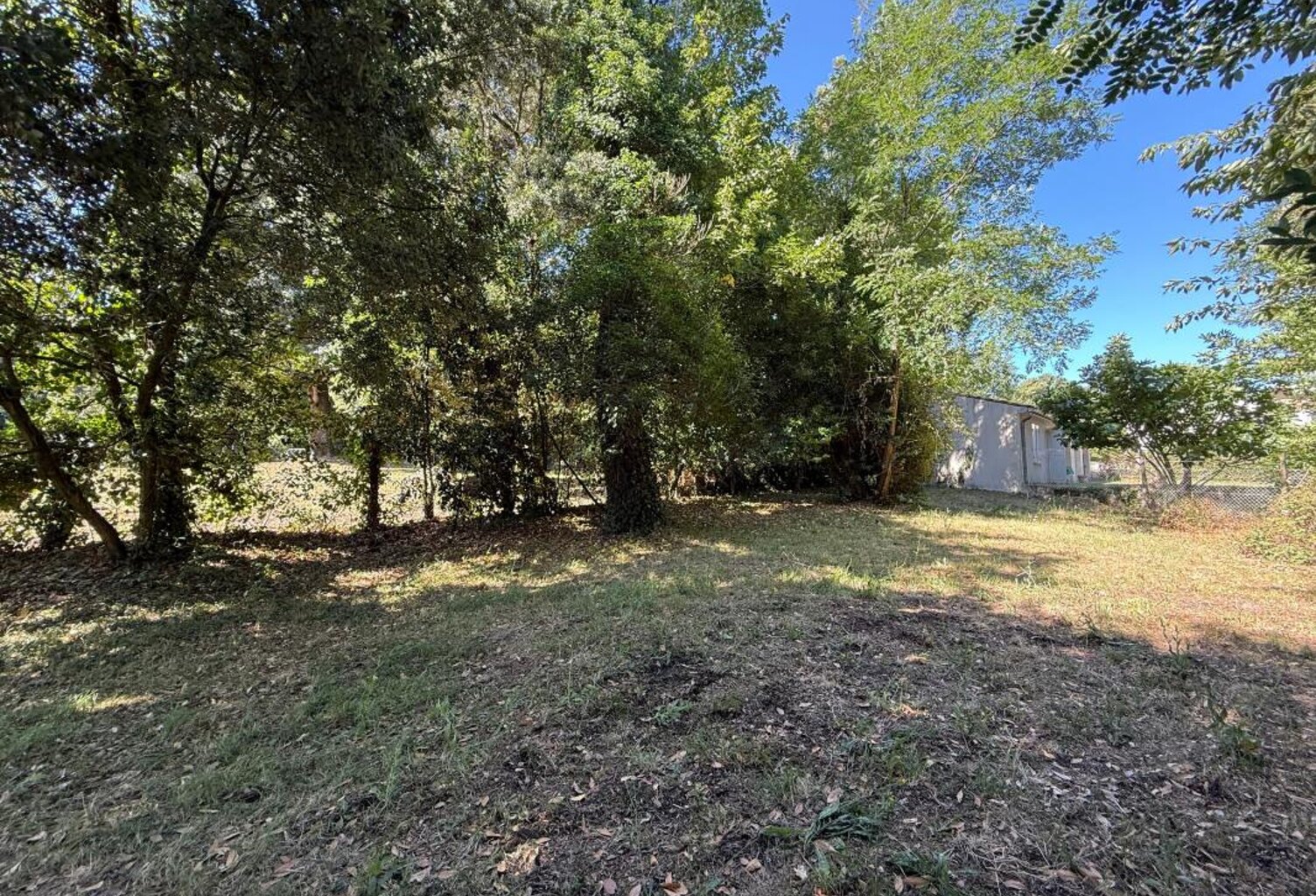 Terrain À Vendre Meschers sur gironde 640m2 boisé — photo 1