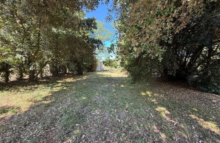 Terrain À Vendre Meschers sur gironde 640m2 boisé — photo 2
