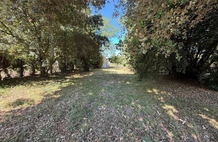 Terrain À Vendre Meschers sur gironde 640m2 boisé — photo 3