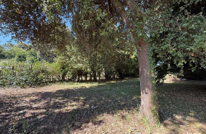 Terrain À Vendre Meschers sur gironde 640m2 boisé — photo 4
