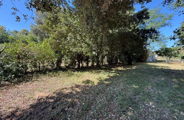Terrain À Vendre Meschers sur gironde 640m2 boisé — photo 5