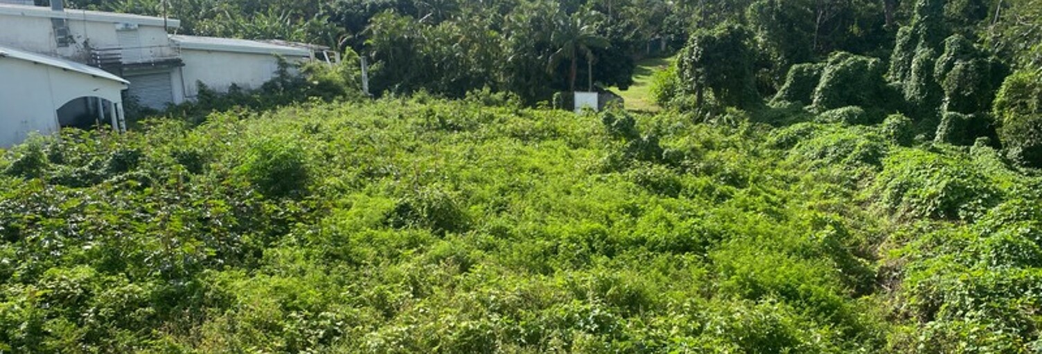 Terrain  1600 m² à vendre à Sainte-Marie (97438)