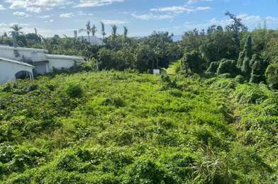 Terrain  825000 €