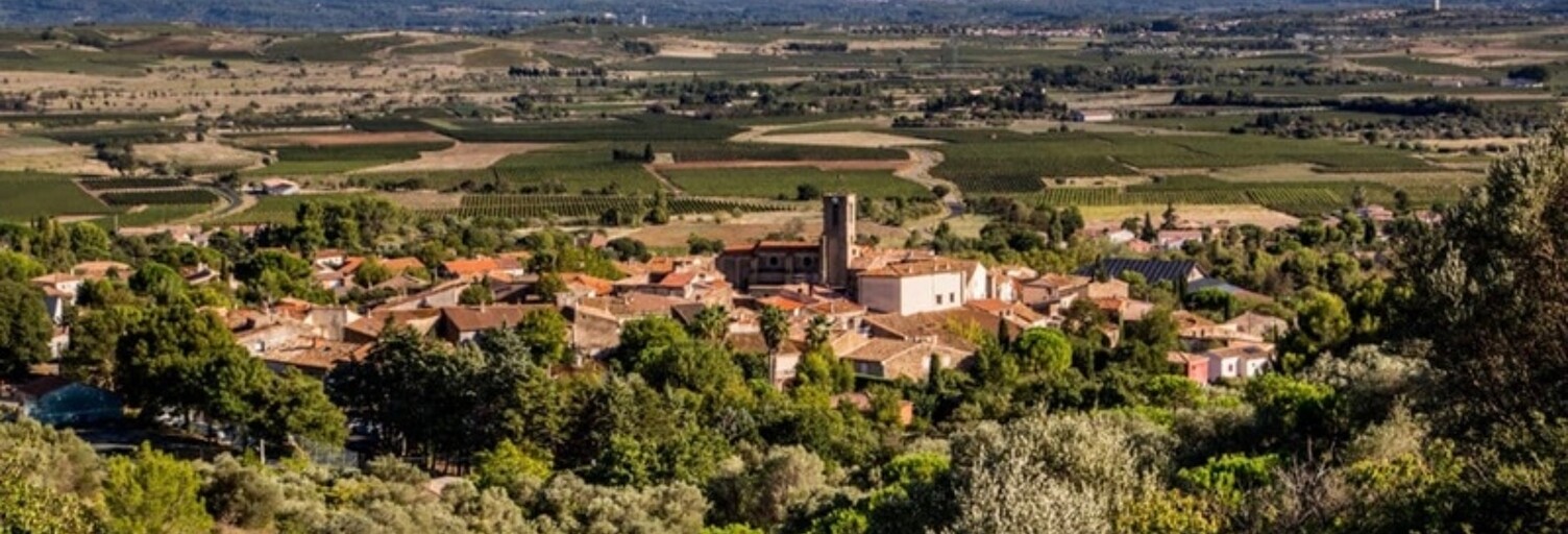 Terrain  1271 m² à vendre à Péret (34800)