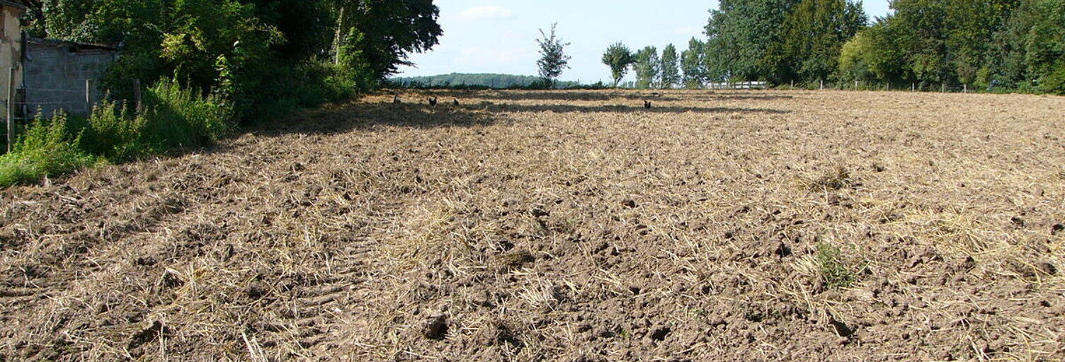 Terrain  4577 m² à vendre à Humières (62130)