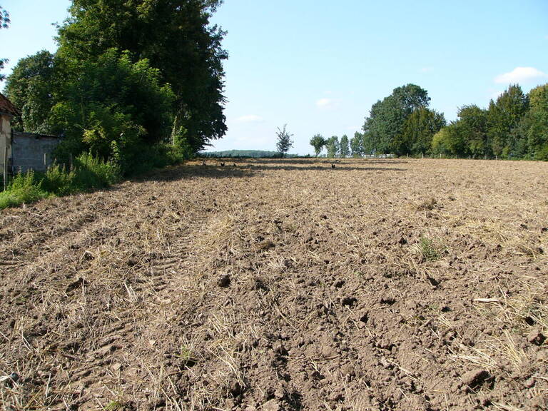Terrain — photo 1