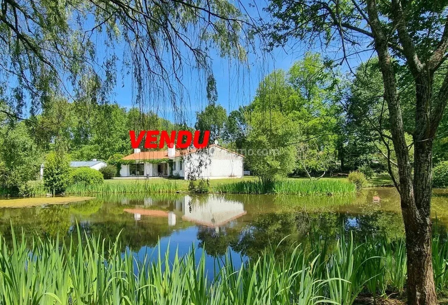 PROPRIETE DANS UN ECRIN DE VERDURE — photo 1