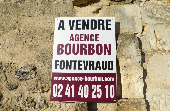 SAUMUR/CHINON — photo 4