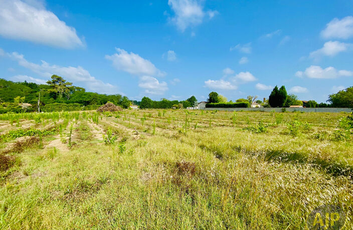 Terrain Saint Germain D Esteuil 2200 m2 — photo 4
