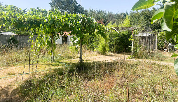 Terrain  à vendre Saint-Xandre 17138