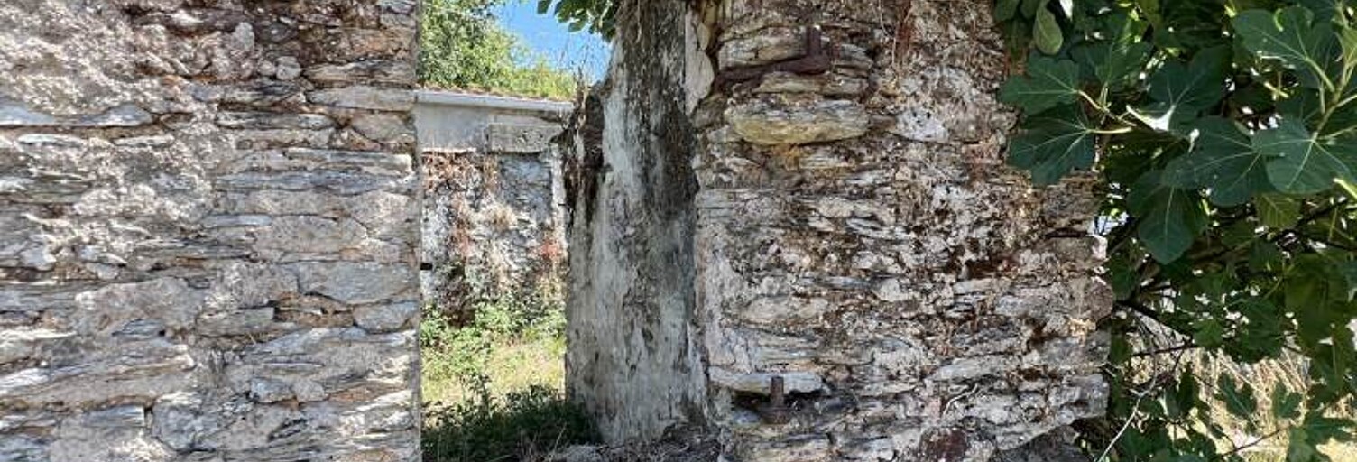 Maison 1 Pièce 50 m² à vendre à Saint-Philbert-de-Grand-Lieu (44310)