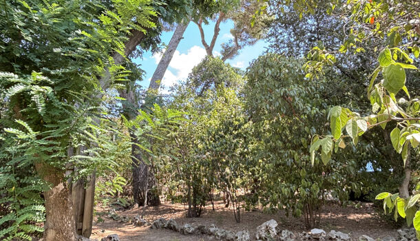 Villa / Maison 8 pièces  à vendre Montpellier 34000