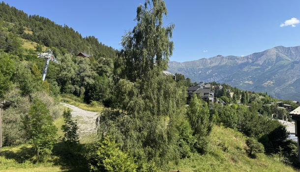 Appartement 1 pièces  à vendre Pra-Loup 04400