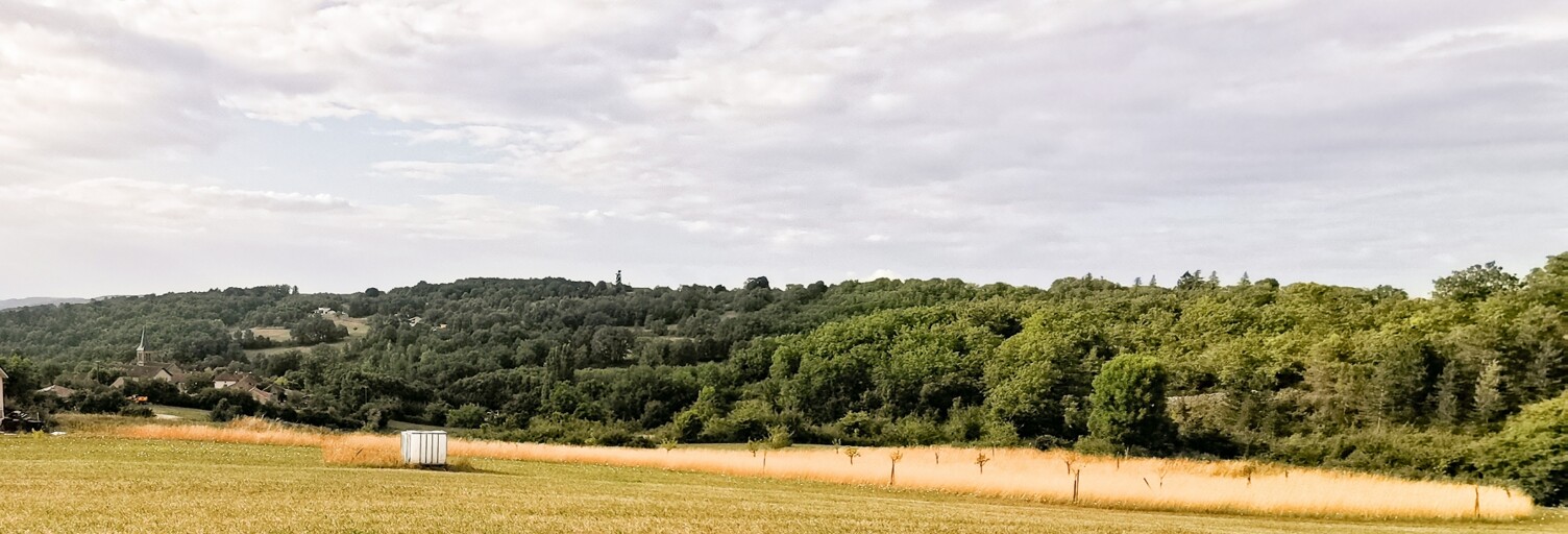 Terrain  4545 m² à vendre à Campagnac-lès-Quercy (24550)