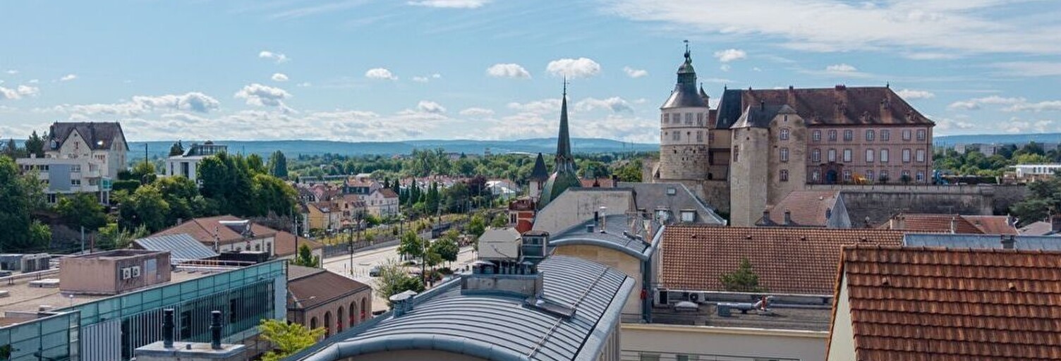 Appartement 6 Pièces 179 m² à vendre à Montbéliard (25200)