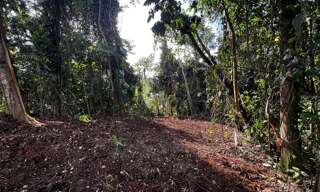 Terrain  3882 m² à vendre à Petit-Bourg (97170)