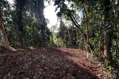 Terrain  260000 €