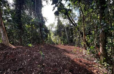Magnifique terrain à vendre de 3 882 m² en pleine forêt tropicale en lisière de rivière — photo du bien