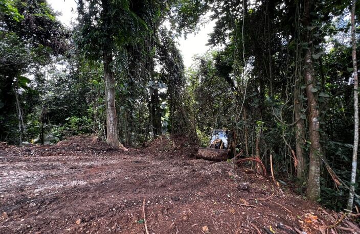 Magnifique terrain à vendre de 3 882 m² en pleine forêt tropicale en lisière de rivière — photo 2