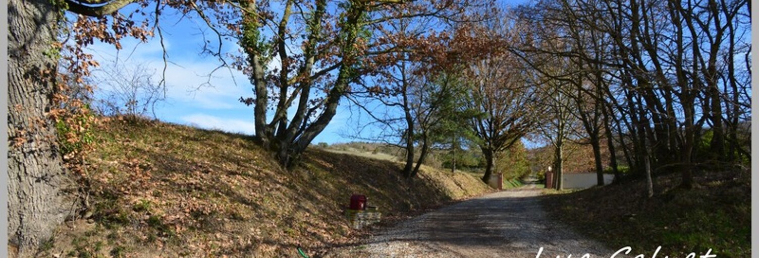 Maison 9 Pièces 390 m² à vendre à Puylaurens (81700)