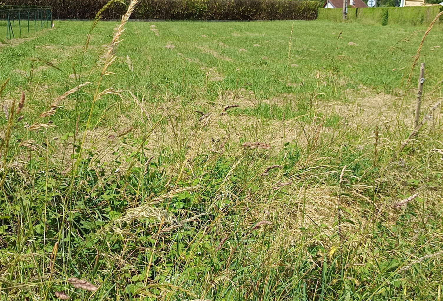 TERRAIN PLAT 1200 M2 NON VIABILISE — photo 1