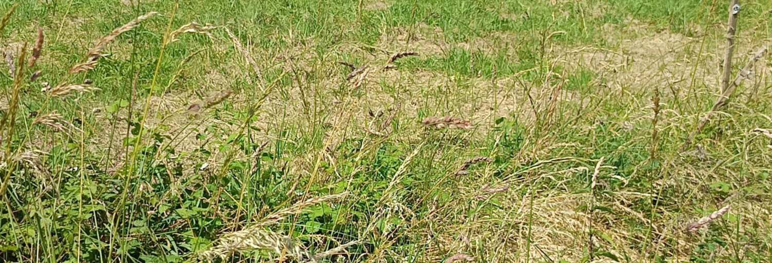 Terrain  1200 m² à vendre à Espès-Undurein (64130)