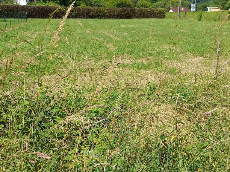 TERRAIN PLAT 1200 M2 NON VIABILISE — photo 1