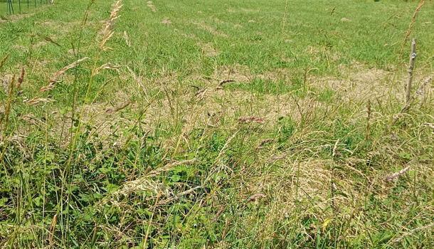 Terrain  à vendre Espès-Undurein 64130