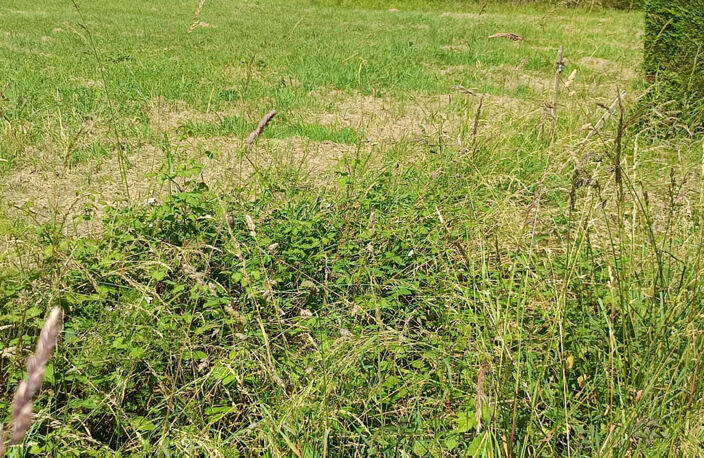 TERRAIN PLAT 1200 M2 NON VIABILISE — photo 2