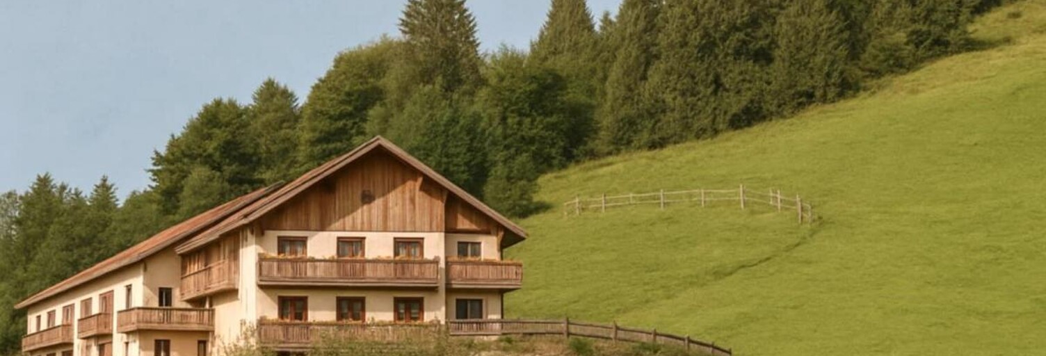 Maison 45 Pièces 1510 m² à vendre à Gérardmer (88400)