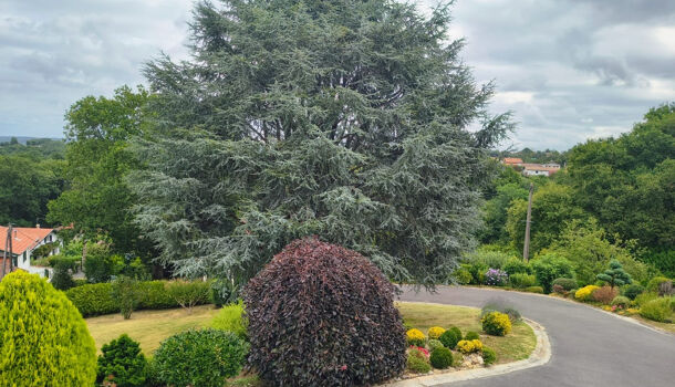 Villa / Maison 6 pièces  à vendre Mouguerre 64990