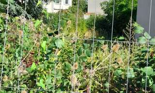 Appartement  431 m² à vendre à Noisy-le-Sec (93130)