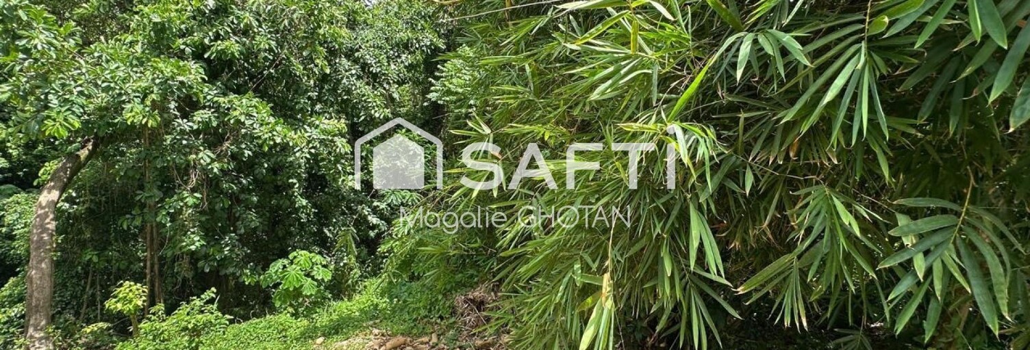 Terrain  1609 m² à vendre à Le Robert (97231)